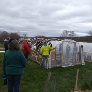 Workshop - Greenhouse Growing & Season Extension 5th May 2024