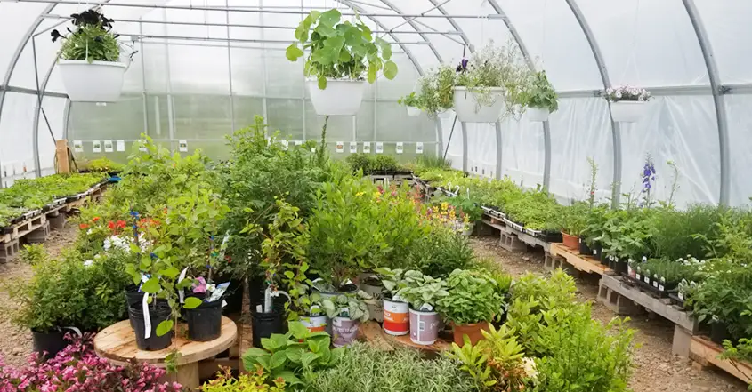 Gardener-Delight