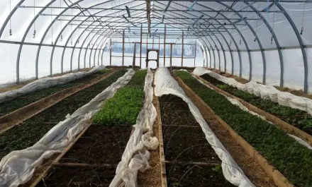 Cochrane Family Farm