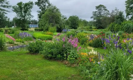 Cochrane Family Farm