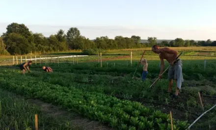 Cochrane Family Farm