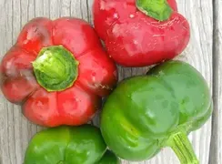 pepperamishpimento