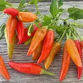 peppercandlelight