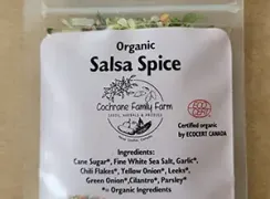  salsa-spice-organic-23g