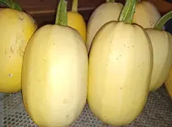 wintersquashspaghetti