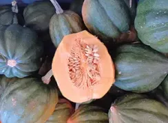 wintersquashtablequeenacornsquash