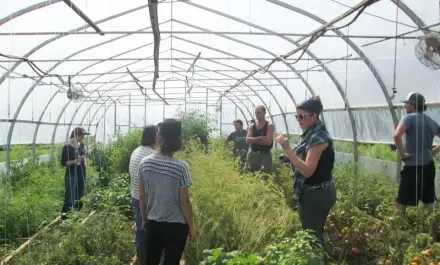 Workshop Cochrane Family Farm