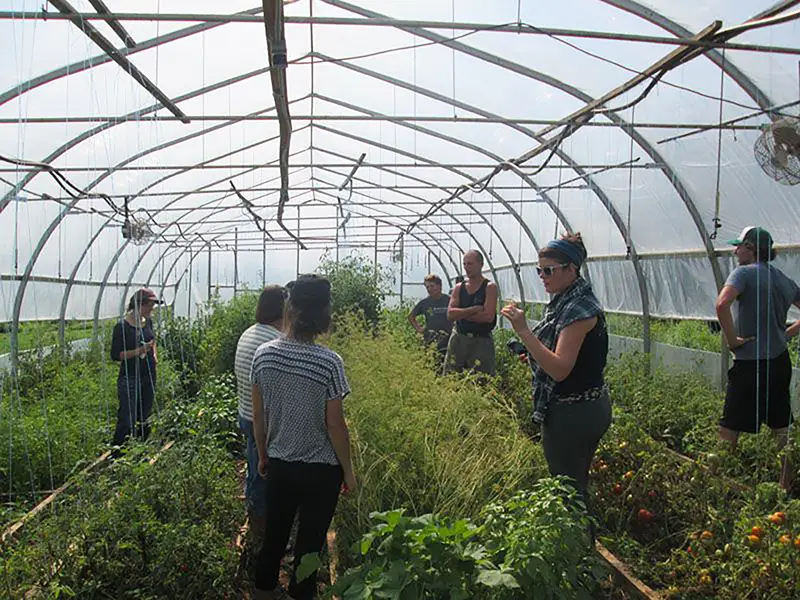 Farm-Tours
