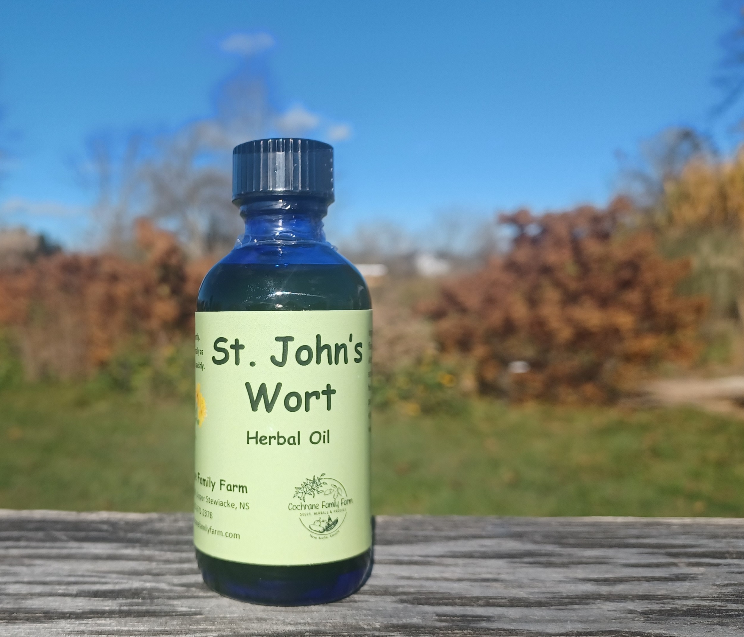 St John's Wort Herbal Oil