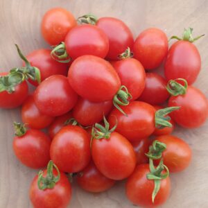 Tomato A Grappoli D"Inverno #8038