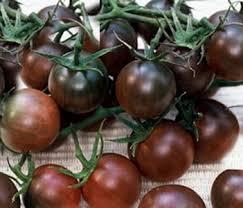 Tomato, Black Cherry #8001