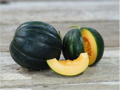Melon, Noir des Carmes Musk #3340