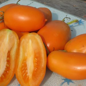 Tomato Orange Banana #8041