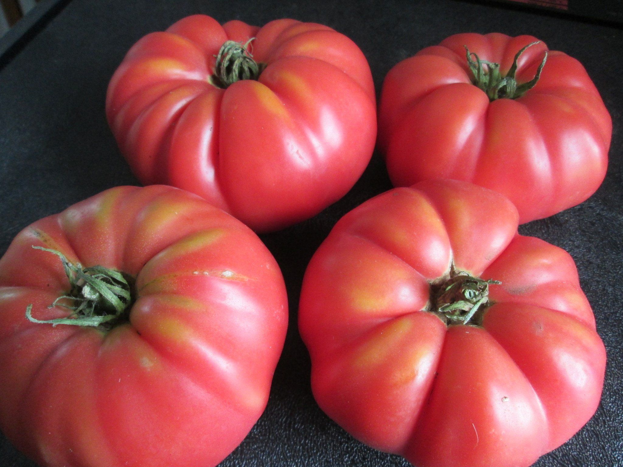 Tomato, Pruden's Purple #8035