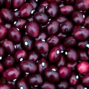 Beans True Red Cranberry #1020