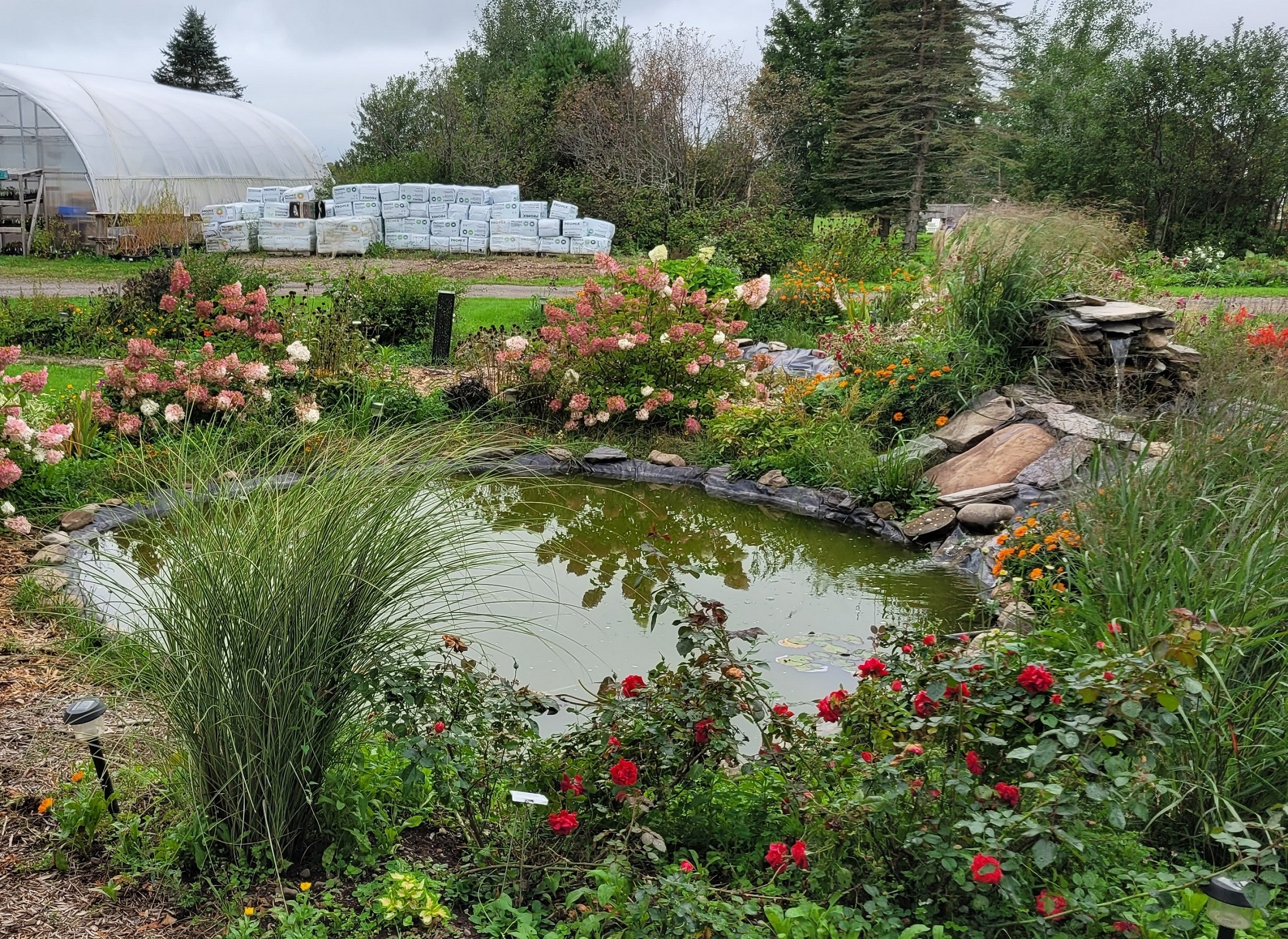 Workshop - Adding Water Features to your Landscape 26th May 2025