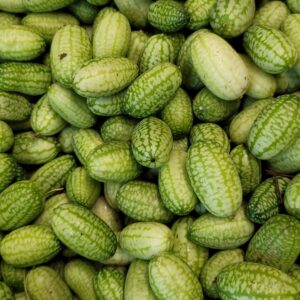 Cucamelon